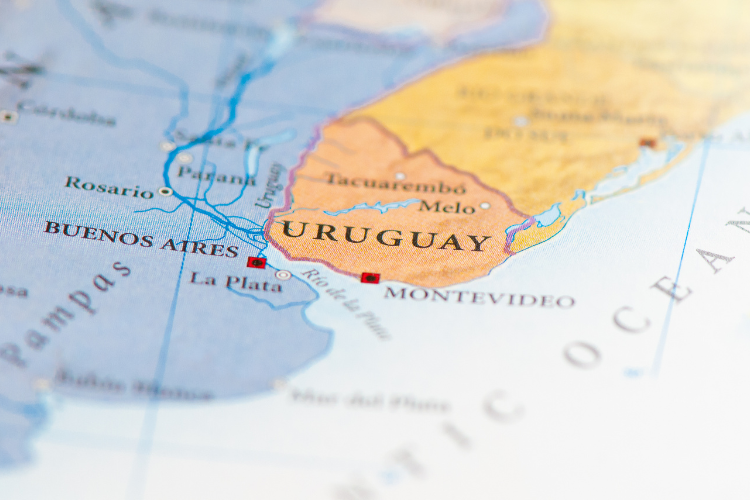 Como Planejar Sua Primeira Viagem ao Uruguai: Dicas Práticas para uma Experiência Inesquecível Planejar a…
