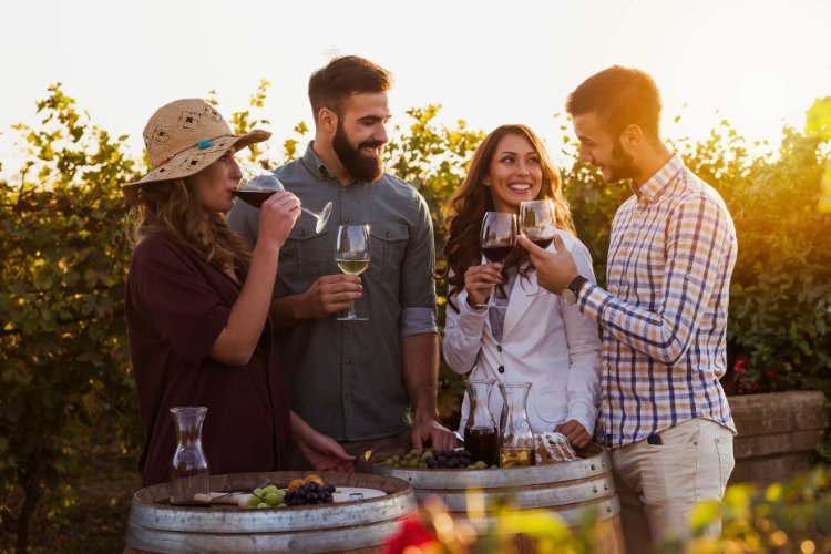 Conheça as melhores vinícolas no Uruguai Se você é apaixonado por vinhos e está em…