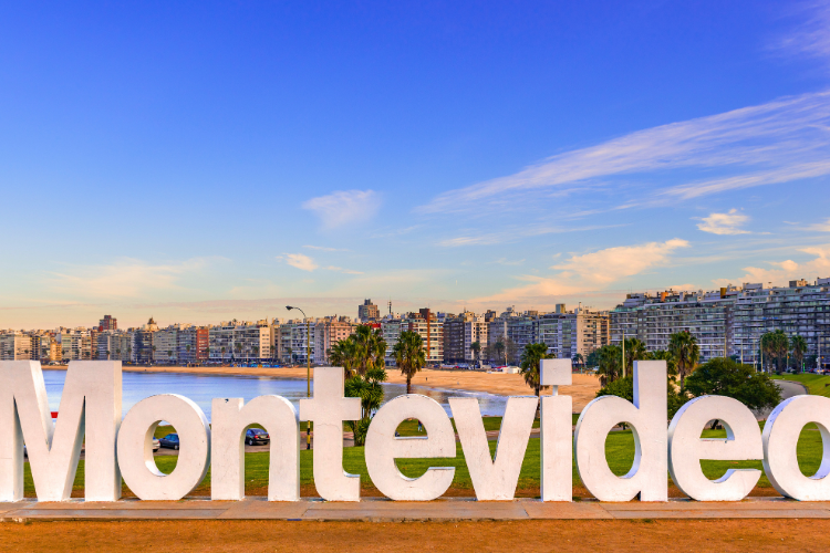 O que fazer em Montevidéu Pensando em explorar o Uruguai? Montevidéu, a charmosa capital do…
