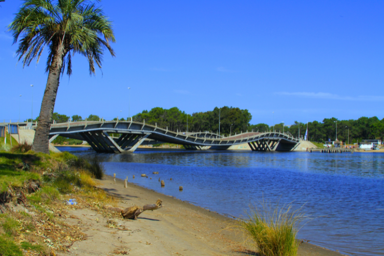 O que fazer em Punta Del Este Punta del Este, localizada a aproximadamente 130 km…