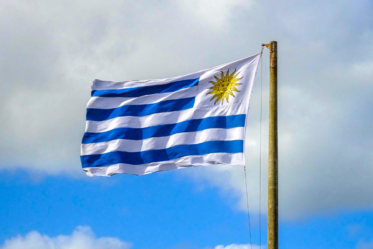 Uruguai: Tradições, Praias e Charme HistóricoQuem visita o Uruguai, especialmente se vem do Sul do…