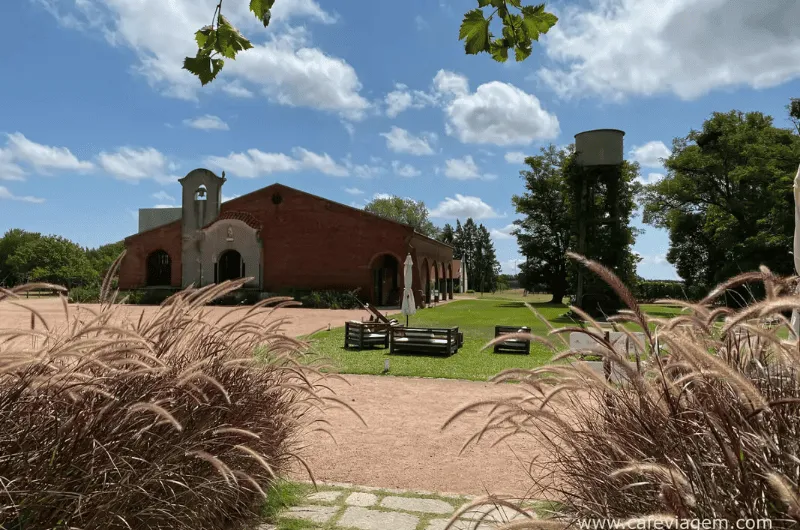 Bodega Bouza: Excelência e Tradição Vinícola no Uruguai