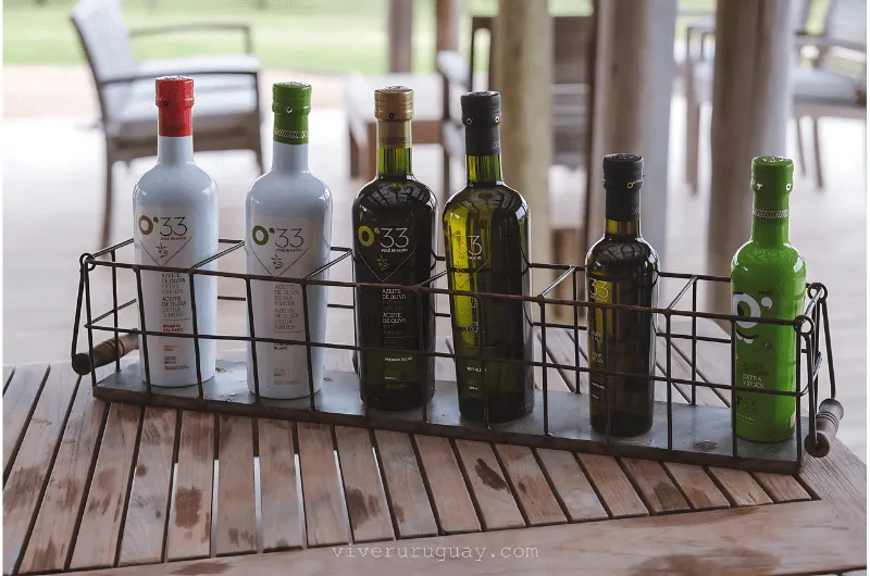 Rota do Azeite no Uruguai: Uma Experiência Sensorial