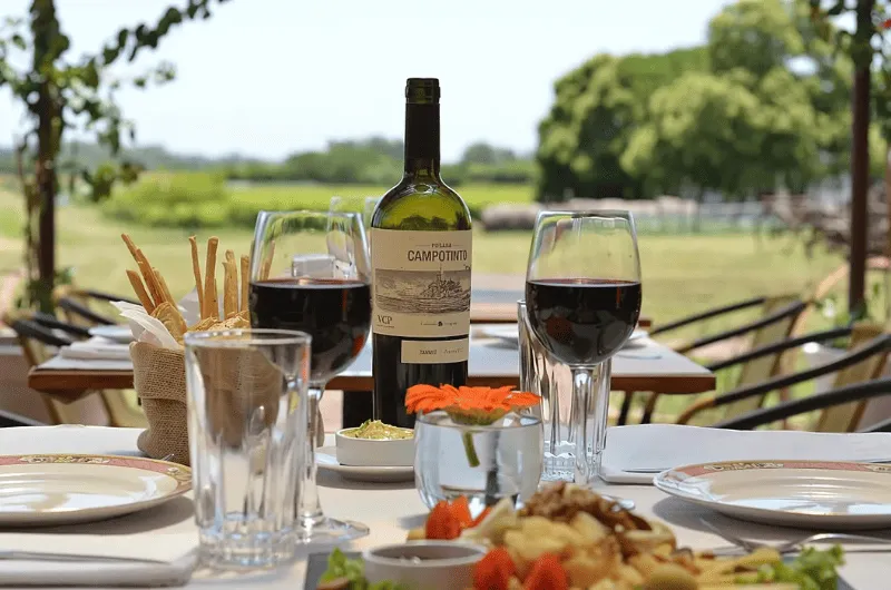 Vinícolas em Punta del Este: Roteiro de Degustação