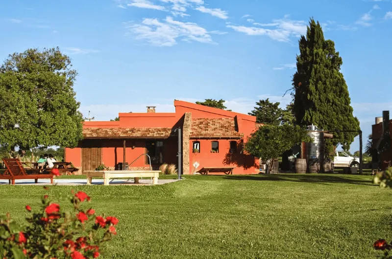 Vinícolas Próximas a Colonia e Carmelo: Um Roteiro Enogastronômico