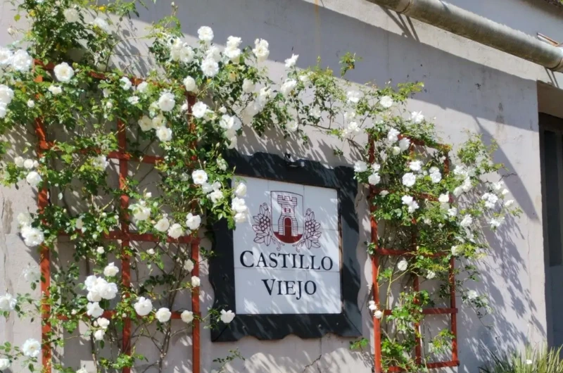 Bodega Castillo Viejo: História e Vinhos Premiados