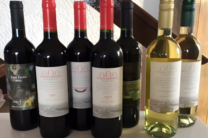 Sierra Oriental: Descobrindo os Terroirs de Punta del Este