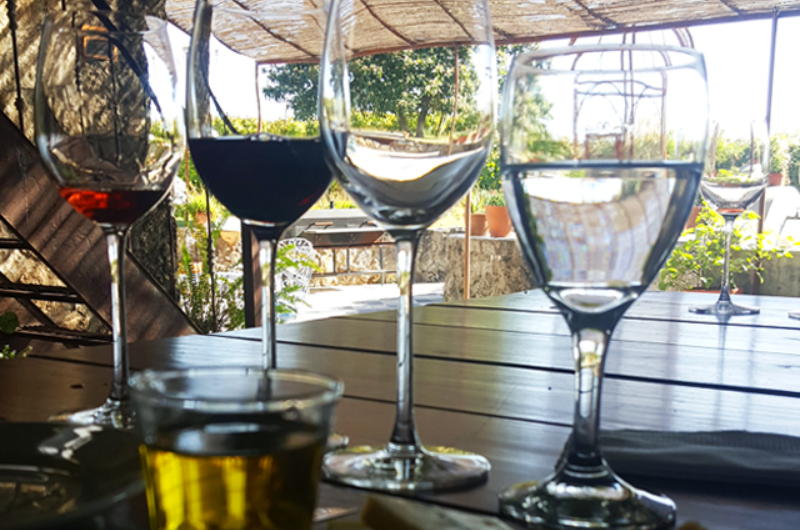 Narbona: Luxo e Vinhos em Carmelo