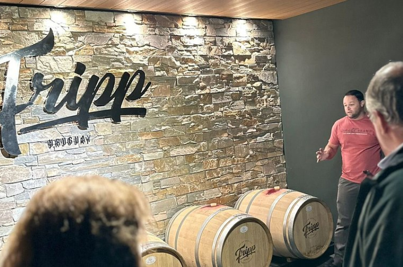 Fripp: Vinhos Artesanais e Hospitalidade em Carmelo