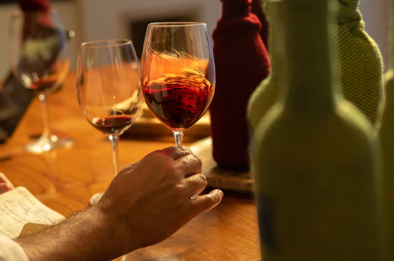 Vinhos Tannat: Conheça a Uva Símbolo do Uruguai