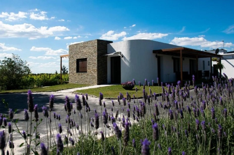 A Bodega Pizzorno é um dos grandes nomes do enoturismo uruguaio, combinando tradição, inovação e…
