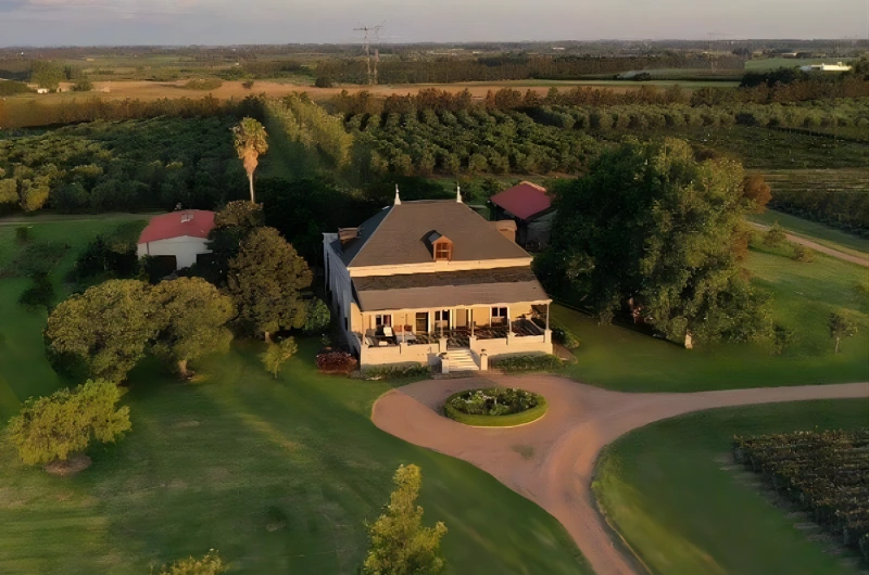 A Família Deicas é sinônimo de inovação, tradição e paixão no universo dos vinhos uruguaios.…